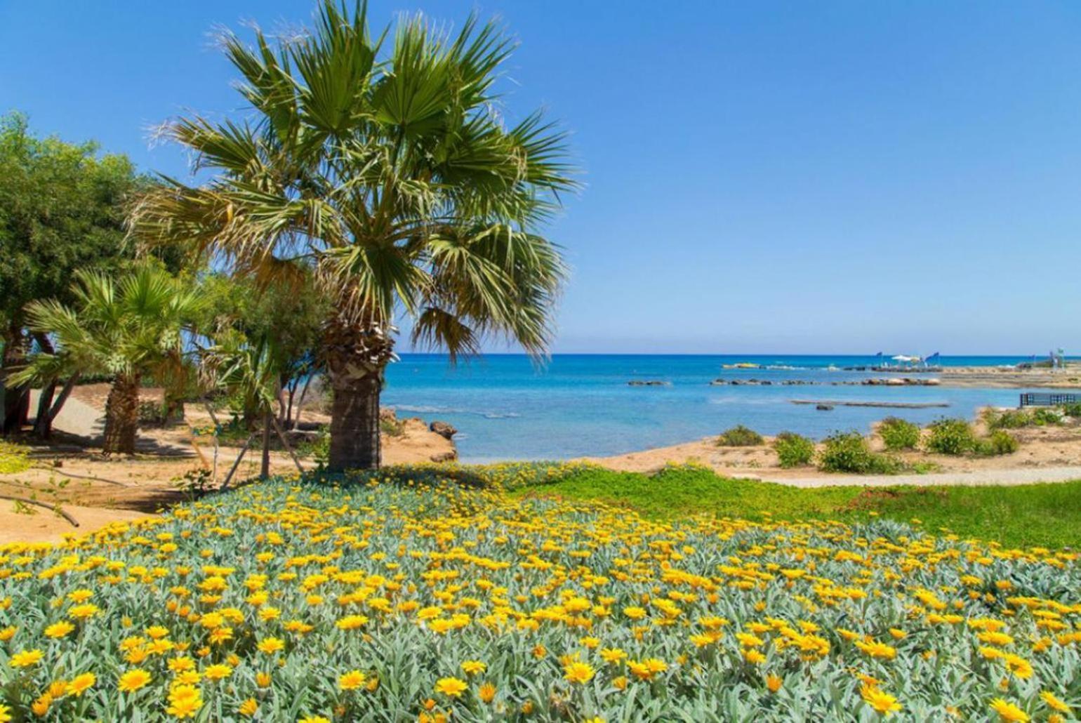 Villa Constantinos Kato Yialia Exteriör bild